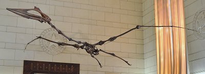 Pterosaur found in Big Bend National Park, Texas