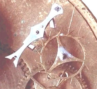 English Lever