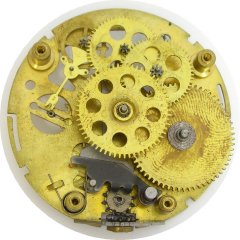 Ingraham gears visible