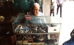 Watch Repair in Santo Domingo