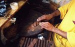 Rolling a cigar by hand