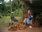 coconut vendors