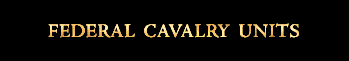 Federal Cavalry Units